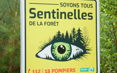 Les « Sentinelles de la forêt », un dispositif citoyen et novateur