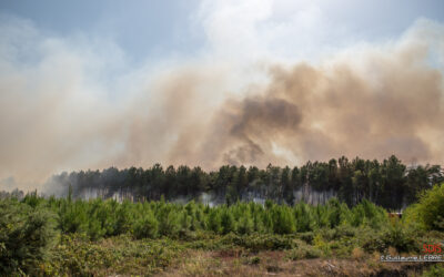 Incendie de Teloché | Retour en images