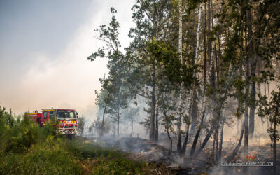 Contre les feux de forêts, les pompiers de la Sarthe sont prêts