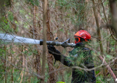 sapeur-pompier-lance-incendie-foret