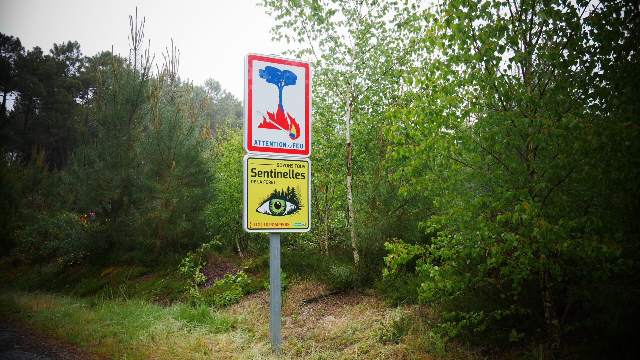 panneau-sentinelle-de-la-foret-sarthe-pompier-departement