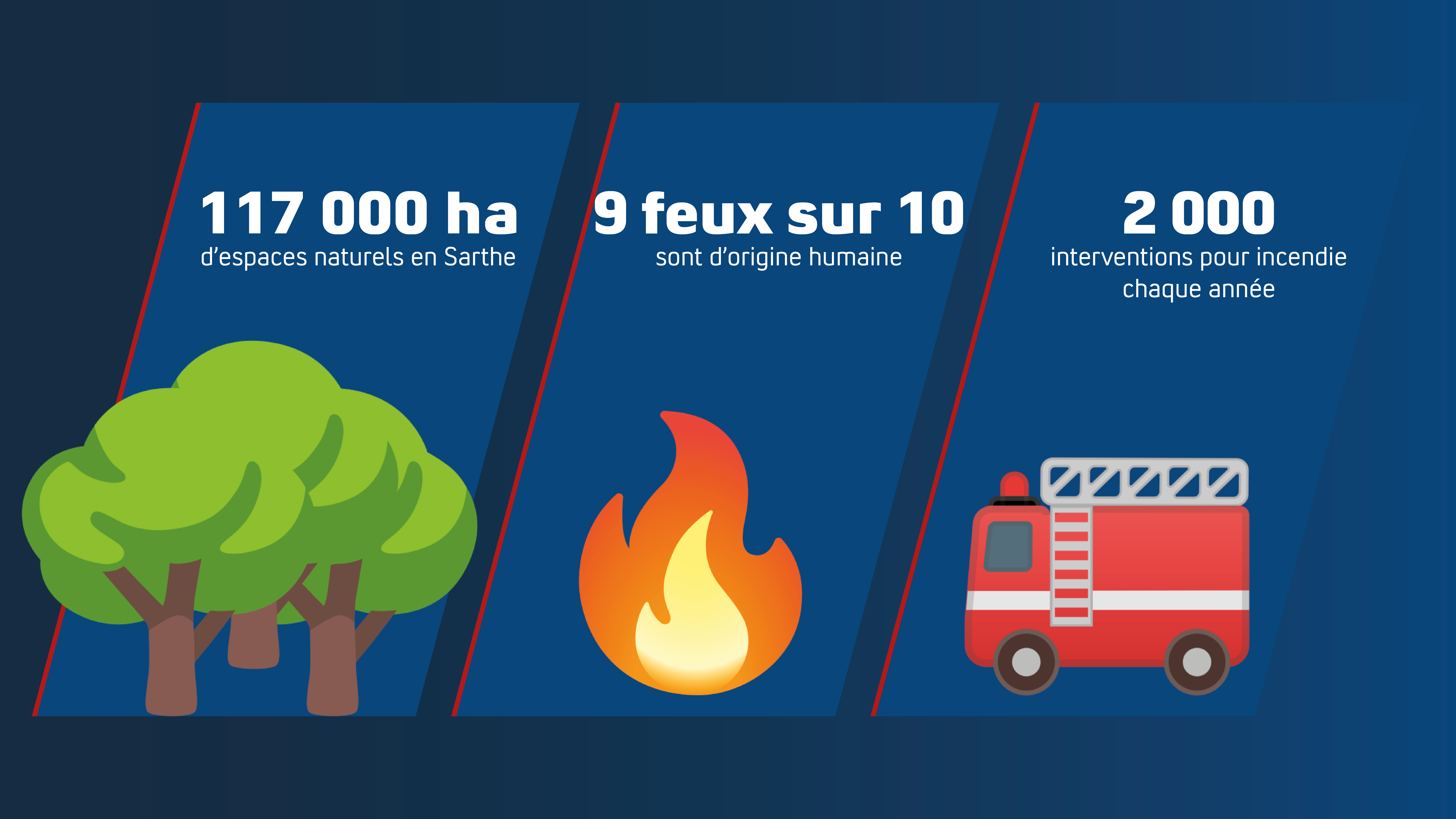 117 000 hectares de forêts en Sarthe - 9 départs de feux sur 10 sont d'origine humaine - Plus de 2000 interventions pour incendie chaque année en Sarthe