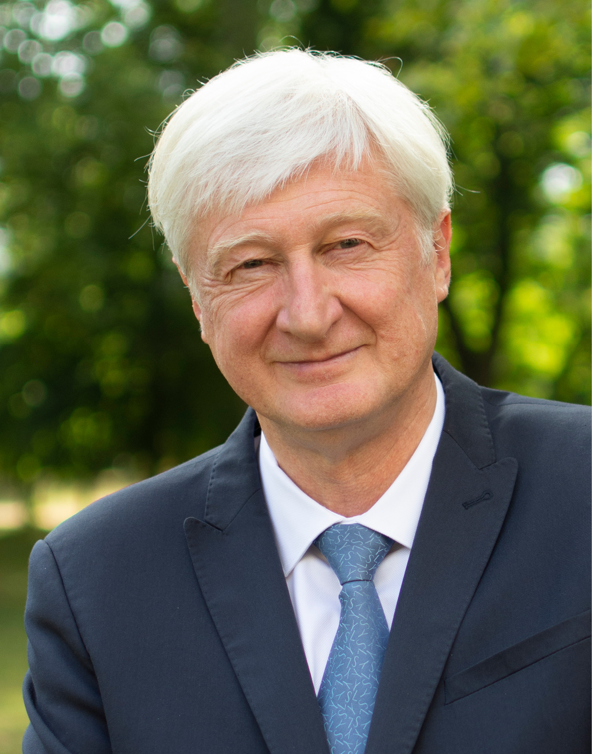 Dominique LE MENÈR